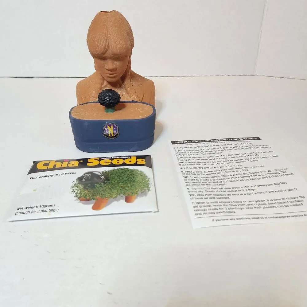 Wednesday Addams Chia Pet Grow Now for Halloween New in Box with Seeds